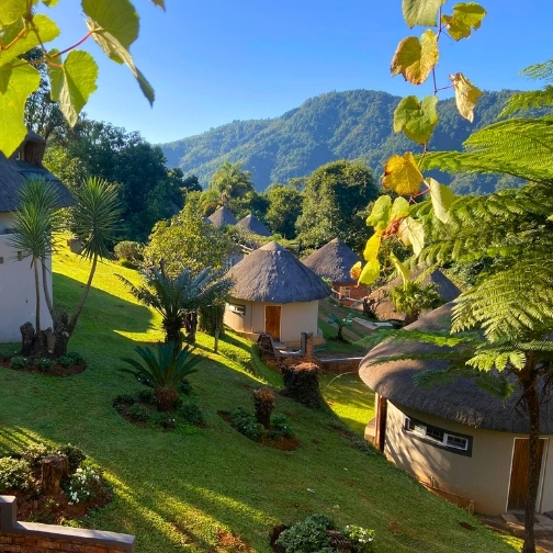 magoebaskloof mountain lodge huts