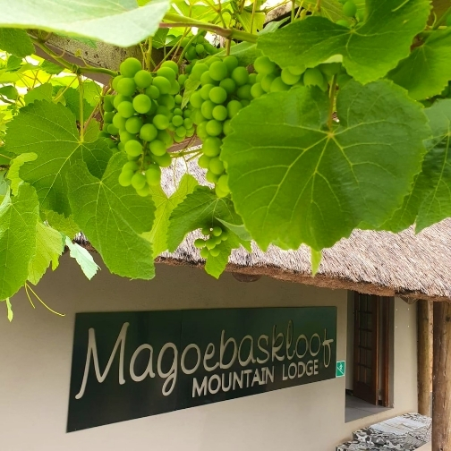 magoebaskloof mountain lodge signage