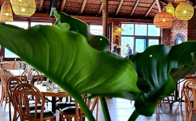 magoebaskloof mountain lodge facilities 2